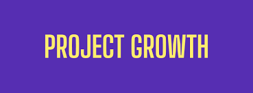 Software Engineer (Frontend Focus) at Project Growth (REMOTE, African Countries $1K–$2.5K/Month)