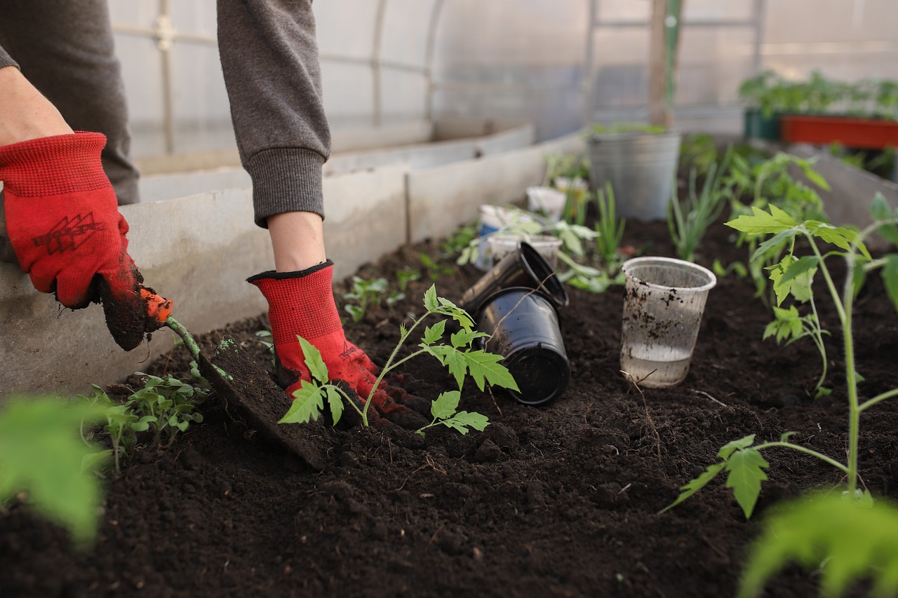 recruitment-for-gardener-in-canada-work-in-canada